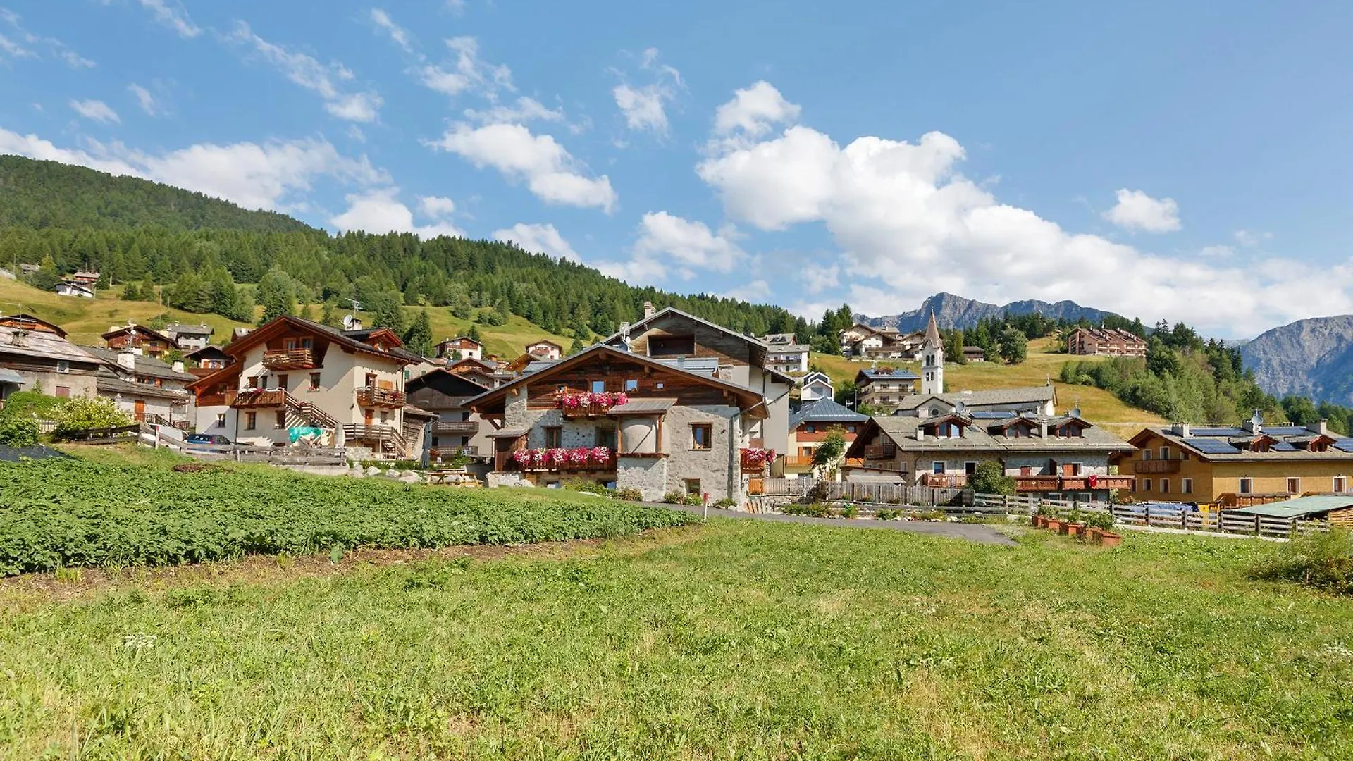 Chalet Sambor Oga